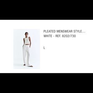 Zara “Pleated Menswear Style Pants”